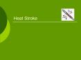 Heat Stroke PowerPoint PPT Presentation