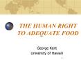 THE HUMAN RIGHT TO ADEQUATE FOOD PowerPoint PPT Presentation
