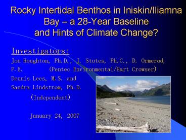 Rocky Intertidal Benthos in Iniskin/Iliamna Bay 