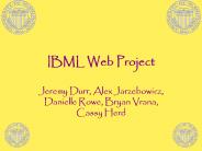 IBML Web Project