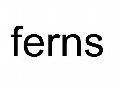 ferns