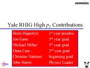 Yale RHIG High pT Contributions