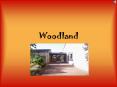 Woodland PowerPoint PPT Presentation