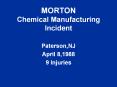 MORTON Chemical Manufacturing Incident PowerPoint PPT Presentation