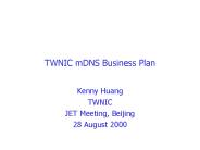TWNIC mDNS Business Plan