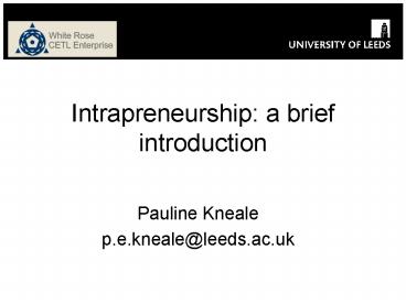 Intrapreneurship: a brief introduction