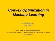 MURI Meeting July 2002