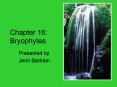 Chapter 16: Bryophytes PowerPoint PPT Presentation