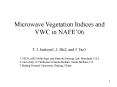 Microwave Vegetation Indices and VWC in NAFE PowerPoint PPT Presentation