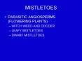 MISTLETOES PowerPoint PPT Presentation