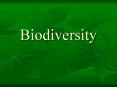 Biodiversity PowerPoint PPT Presentation