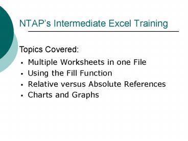 NTAPs Intermediate Excel Training