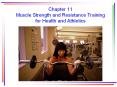 Muscle Strength and Resistance Training PowerPoint PPT Presentation