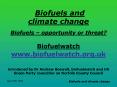 Biofuels and climate change Biofuels opportunity or threat Biofuelwatch www'biofuelwatch'org'uk intr PowerPoint PPT Presentation