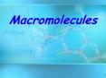 Macromolecules PowerPoint PPT Presentation
