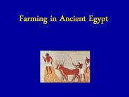 Farming in Ancient Egypt