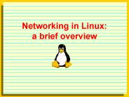 Networking in Linux: a brief overview