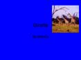Giraffe PowerPoint PPT Presentation