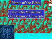 Plants of the Bible
