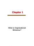 What is Organizational Behaviour PowerPoint PPT Presentation