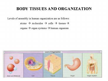 BODY TISSUES AND ORGANIZATION