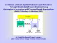 Synthesis of Arctic System Carbon Cycle Research Through ModelData Fusion Studies Using Atmospheric PowerPoint PPT Presentation