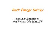 Dark Energy Survey