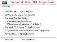 Status of Muon TDR Preparations
