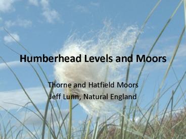 Humberhead Levels and Moors