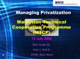 Managing Privatization PowerPoint PPT Presentation