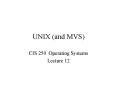 UNIX and MVS PowerPoint PPT Presentation