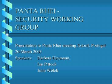 PANTA RHEI SECURITY WORKING GROUP