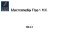 Macromedia Flash MX PowerPoint PPT Presentation