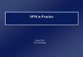 SPM in Practice PowerPoint PPT Presentation