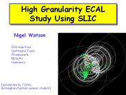 High Granularity ECAL Study Using SLIC