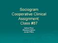 Sociogram Cooperative Clinical Assignment: Class 87 PowerPoint PPT Presentation