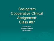 Sociogram Cooperative Clinical Assignment: Class 87