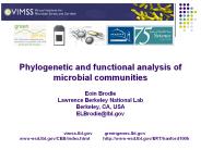 Phylogenetic and functional analysis of microbial communities