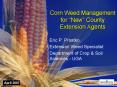 Corn Weed Management for New County Extension Agents PowerPoint PPT Presentation