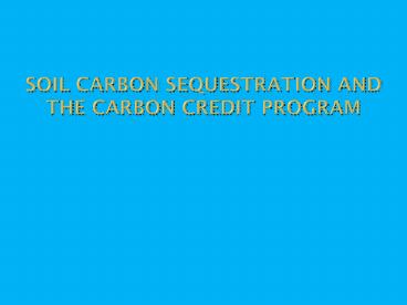 Soil Carbon Sequestration and the carbon credit program