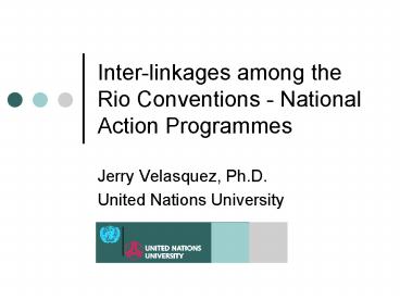 Interlinkages among the Rio Conventions National Action Programmes