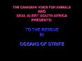 THE CANADIAN VOICE FOR ANIMALS PowerPoint PPT Presentation