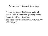 More on Internet Routing