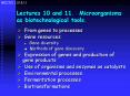 Lectures 10 and 11. Microorganisms as biotechnological tools. PowerPoint PPT Presentation