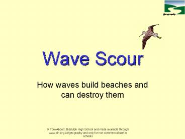 Wave Scour