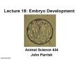 Lecture 18: Embryo Development PowerPoint PPT Presentation