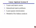 Linear Algebraic Systems II PowerPoint PPT Presentation