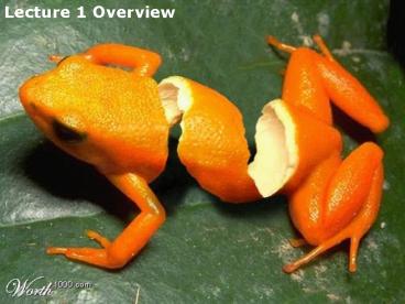 11595 Human Nutrition