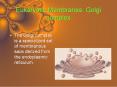 Eukaryotic Membranes: Golgi complex PowerPoint PPT Presentation