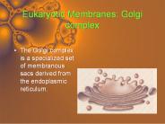 Eukaryotic Membranes: Golgi complex